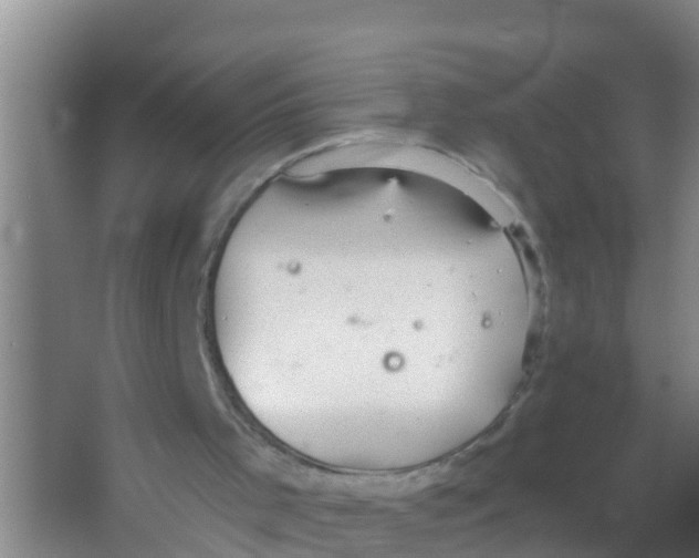 X0000066950001200604142101