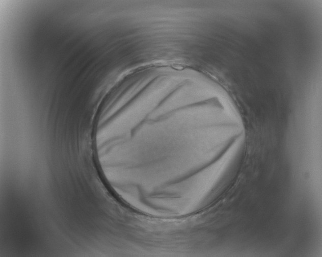 X0000066950002200604142101