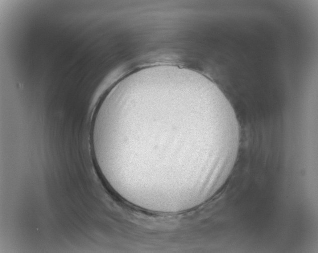 X0000066950004200604142101