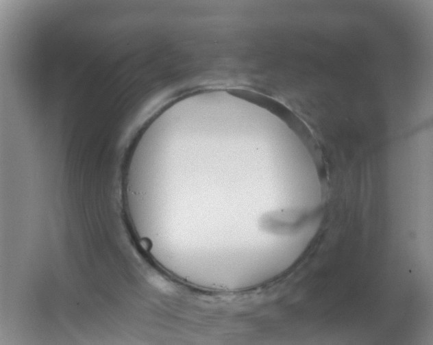 X0000066950005200604142101