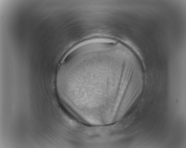 X0000066950009200604142101