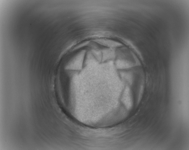 X0000066950010200604142101