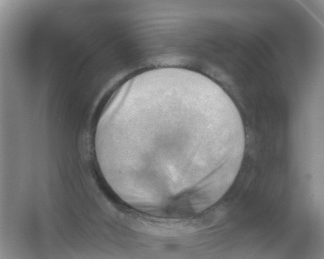 X0000066950012200604142101