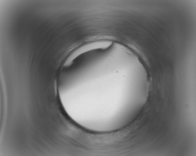 X0000066950013200604142101