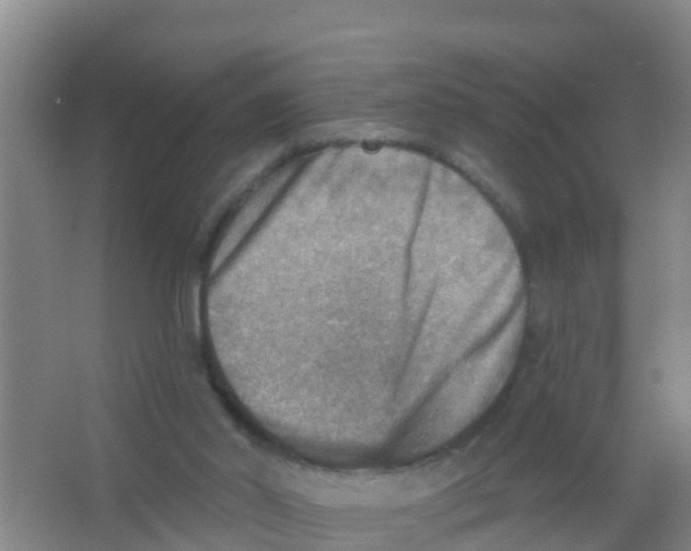 X0000066950014200604142101