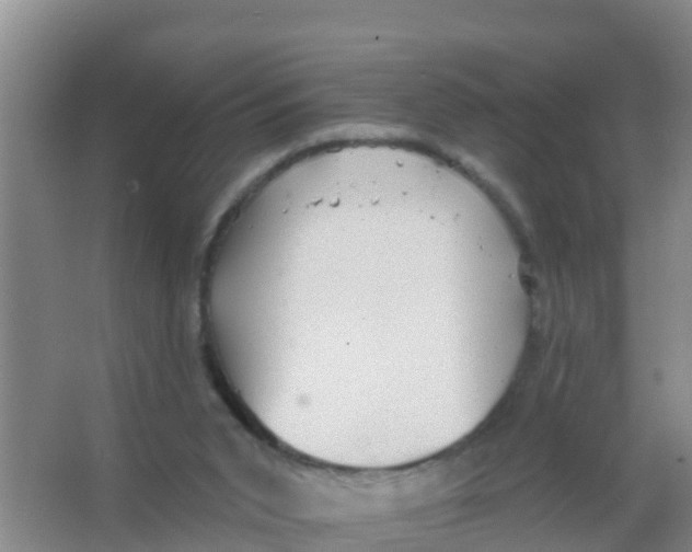 X0000066950015200604142101