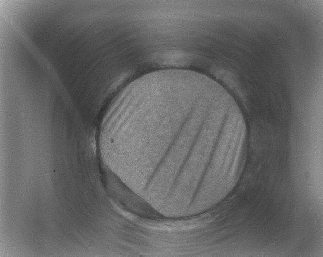 X0000066950017200604142101