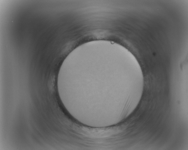 X0000066950018200604142101