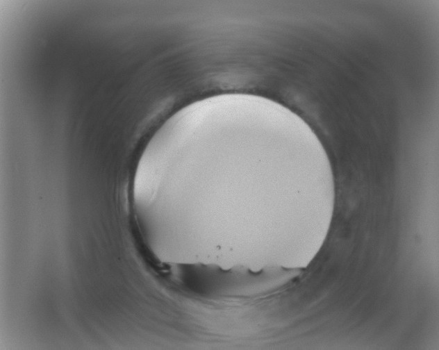 X0000066950019200604142101