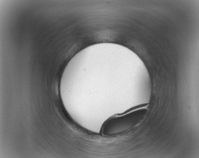 X0000066950021200604142101