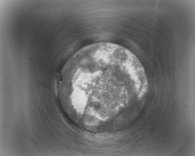 X0000066950022200604142101