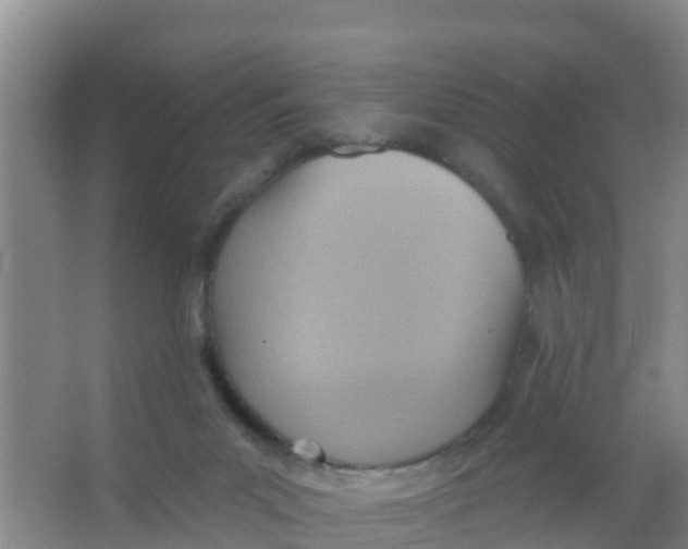 X0000066950023200604142101