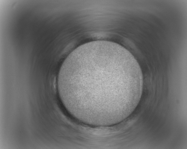 X0000066950024200604142101