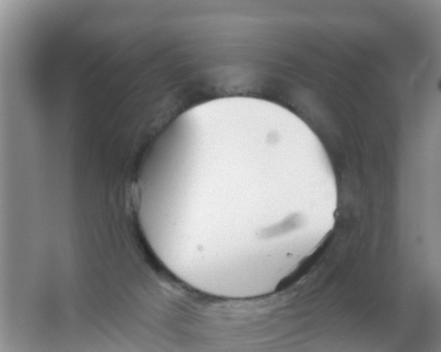 X0000066950025200604142101