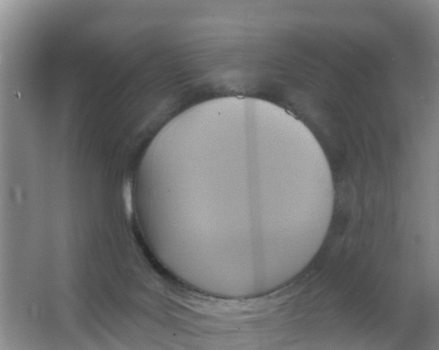 X0000066950027200604142101