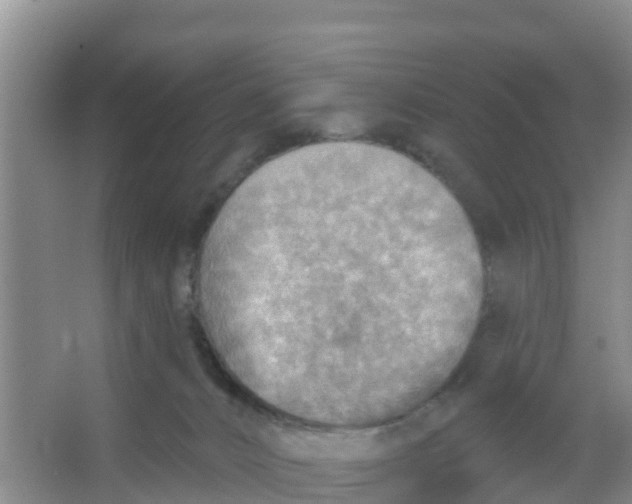 X0000066950032200604142101