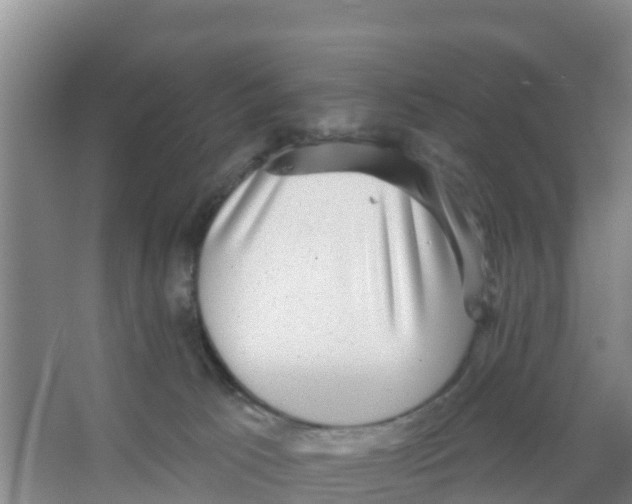 X0000066950033200604142101