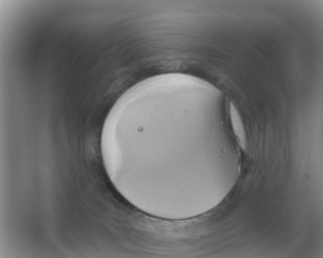 X0000066950035200604142101