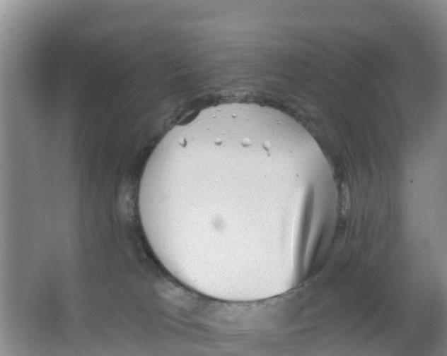 X0000066950037200604142101