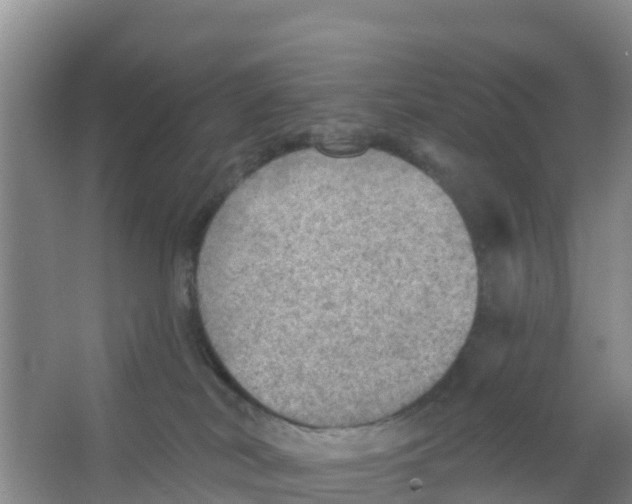 X0000066950038200604142101