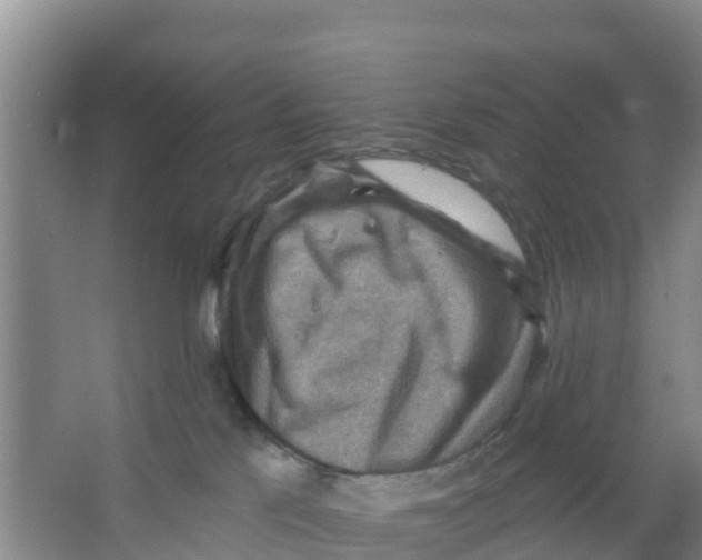 X0000066950041200604142101