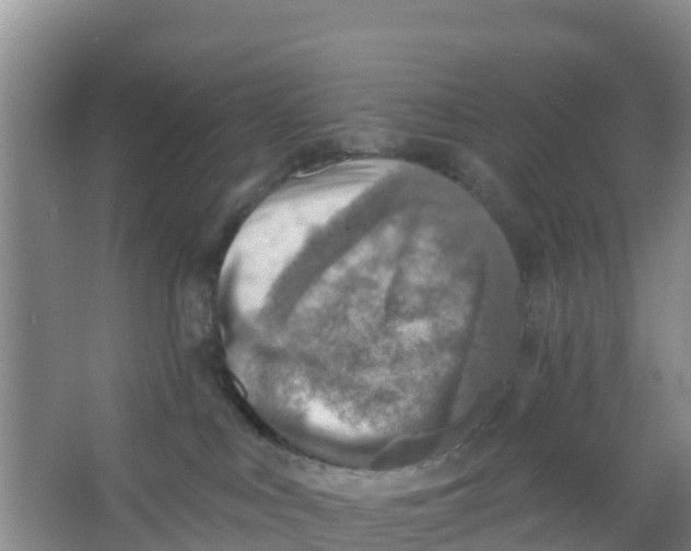 X0000066950043200604142100