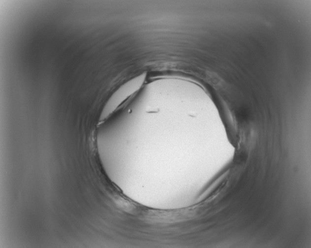 X0000066950045200604142100