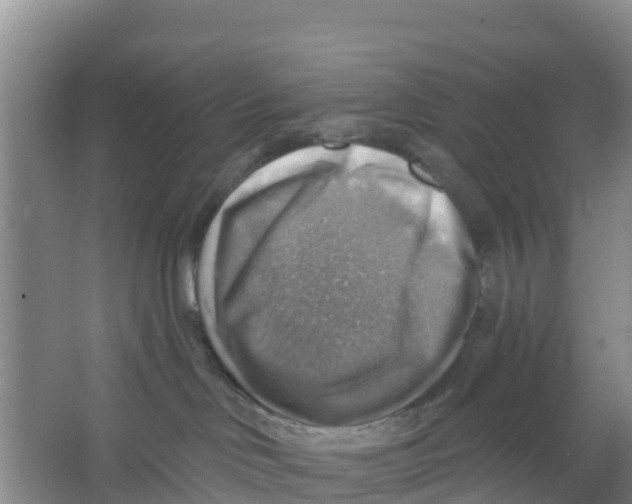 X0000066950046200604142100