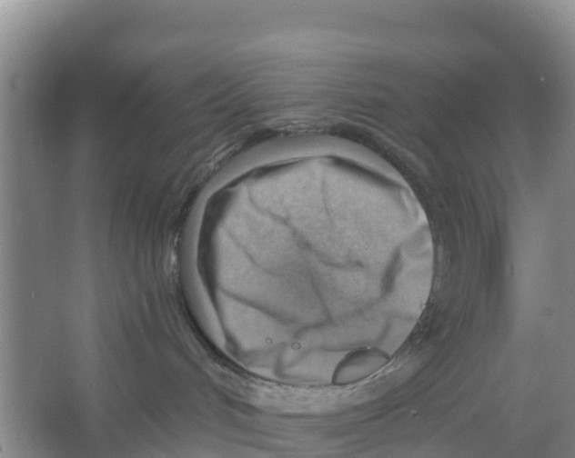 X0000066950048200604142100