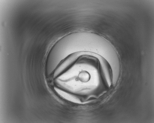 X0000066950049200604142100