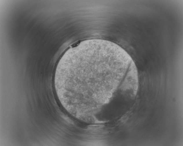 X0000066950051200604142100