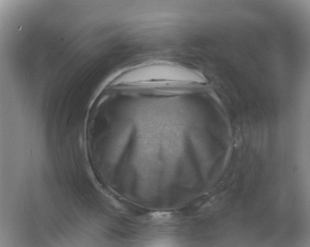 X0000066950052200604142100