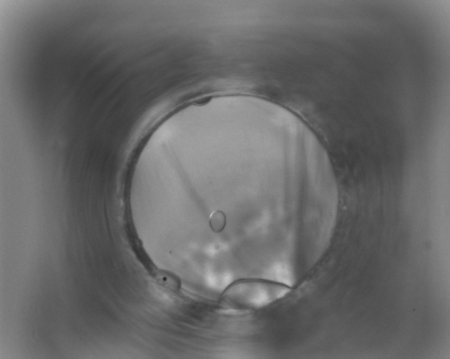 X0000066950053200604142100