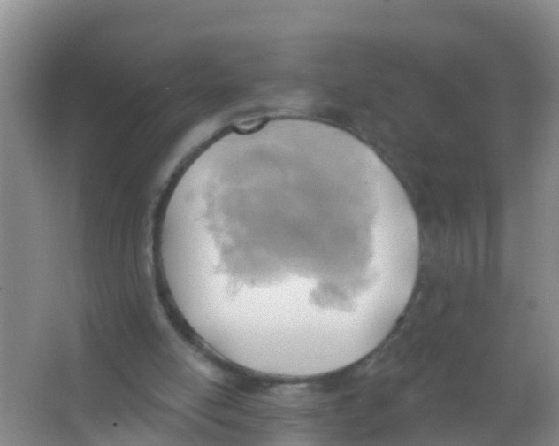 X0000066950054200604142100