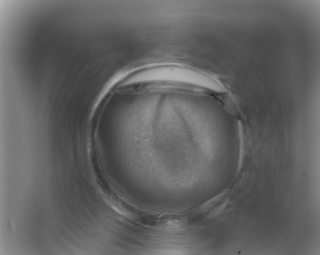 X0000066950056200604142100