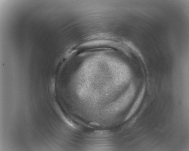 X0000066950057200604142100