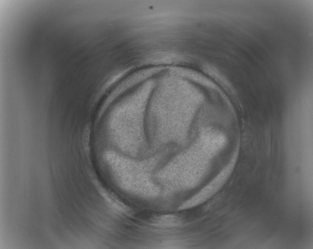 X0000066950058200604142100