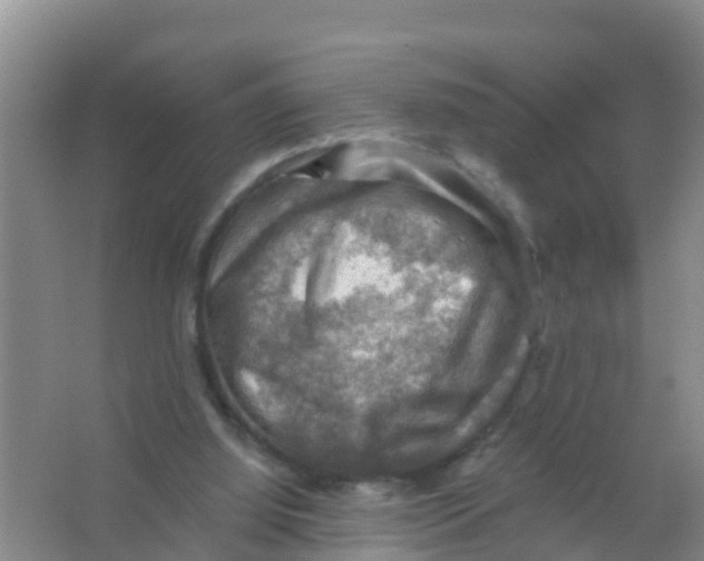 X0000066950060200604142100