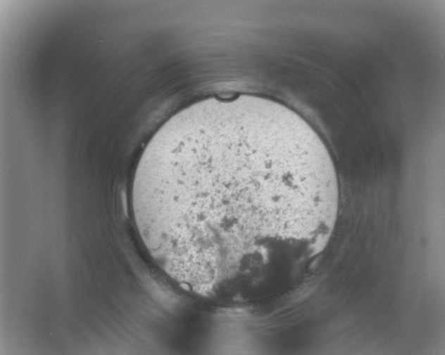 X0000066950061200604142100