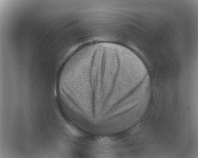 X0000066950062200604142100