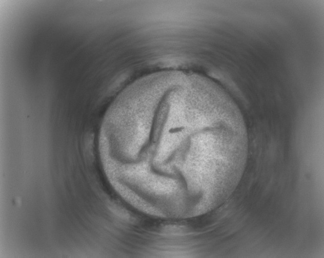 X0000066950066200604142100