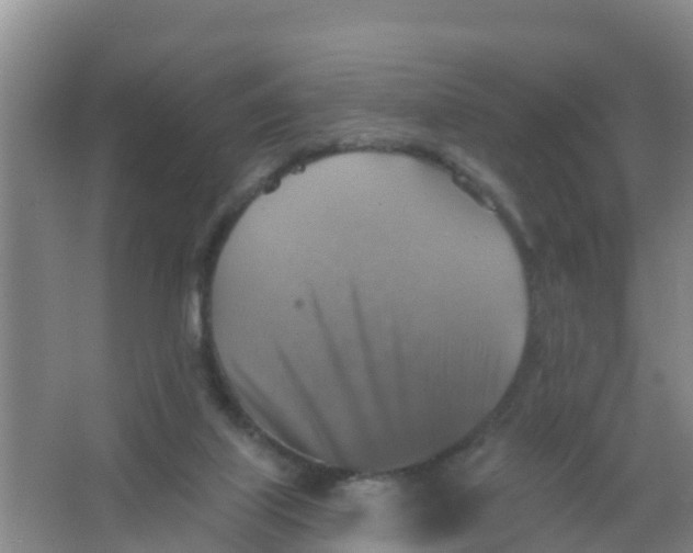 X0000066950067200604142100