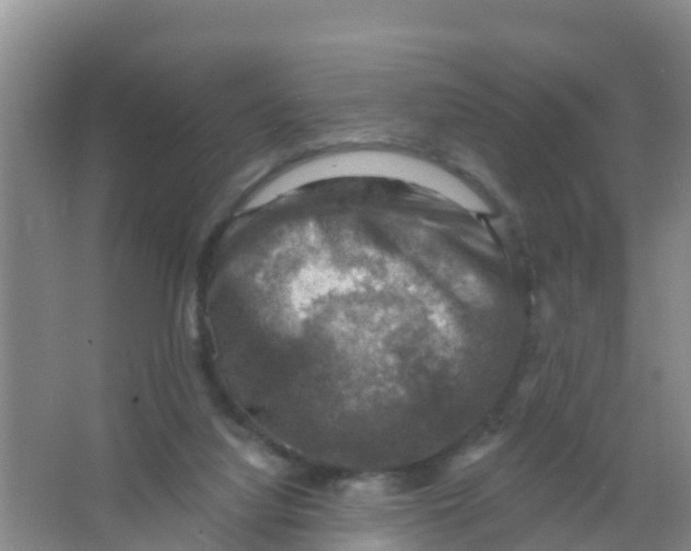 X0000066950068200604142100