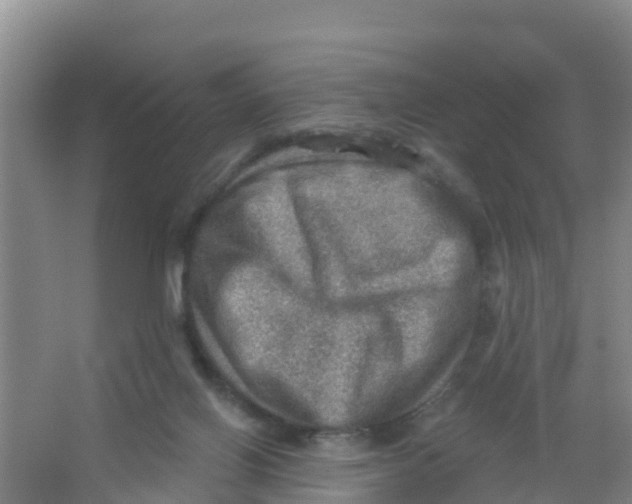 X0000066950070200604142100