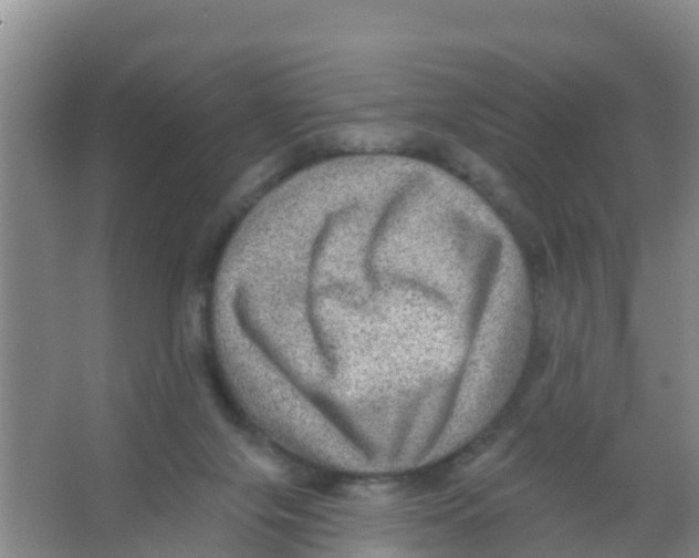 X0000066950071200604142100