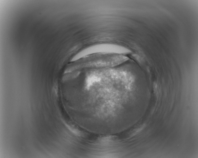 X0000066950072200604142100