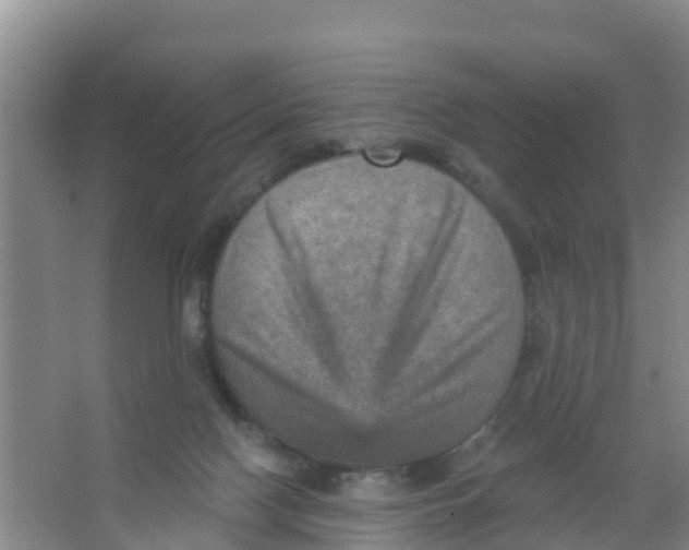 X0000066950074200604142100