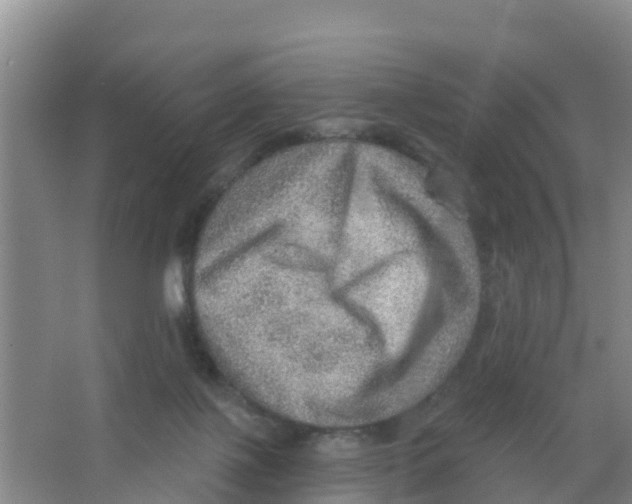 X0000066950075200604142100