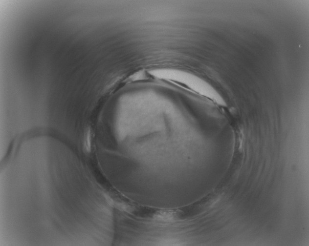 X0000066950076200604142100