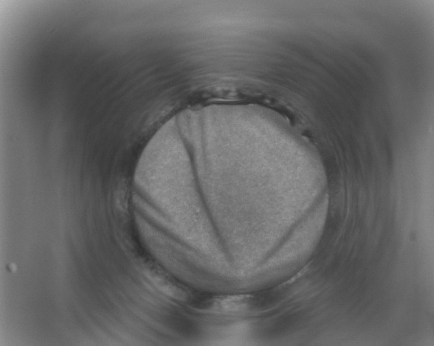 X0000066950078200604142100